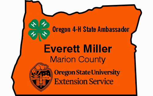 OSUEXT4H Extension 4H Name Badge