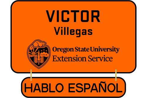 OSUEXT04 Extension Small Name Badge w/Language plate